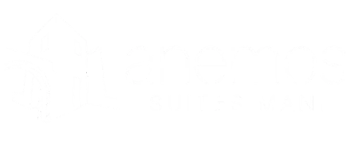 anemos logo white